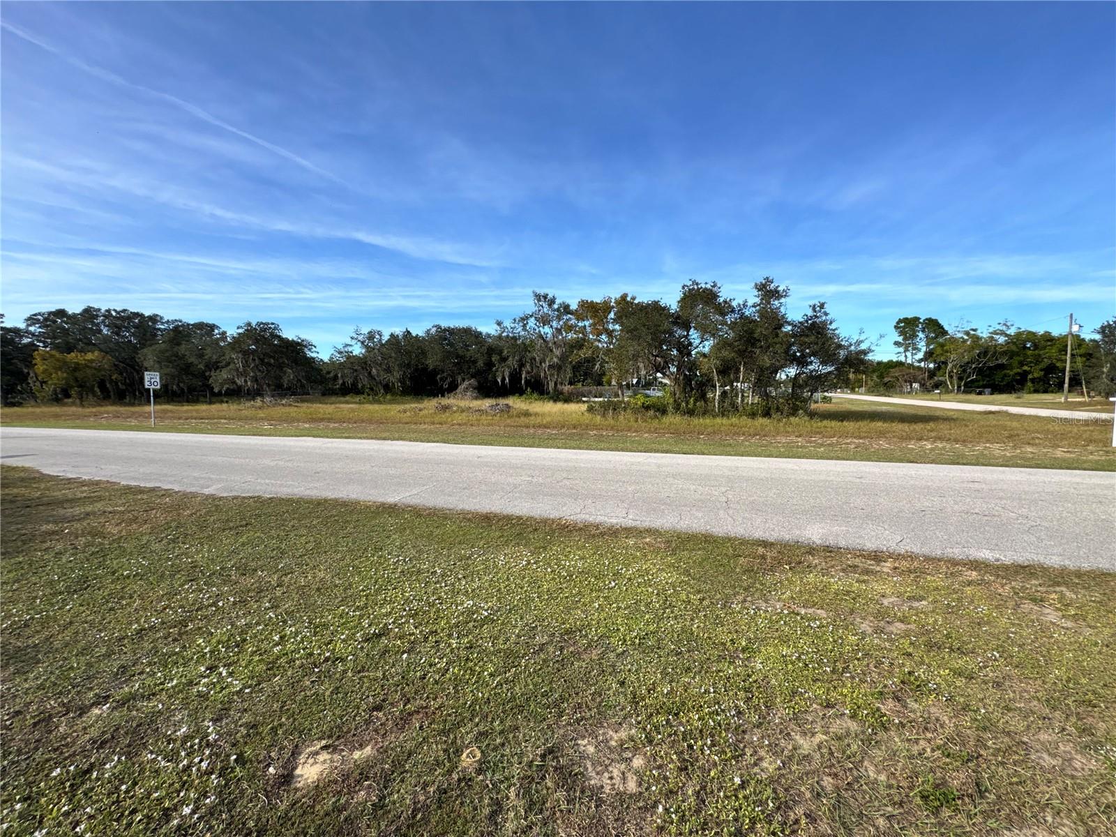 FAST TROT TRL, LAKE WALES, FL — photo 3
