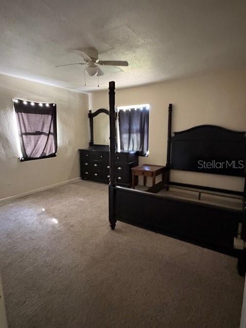 713 EUCLID AVE, LAKE WALES, FL — photo 10