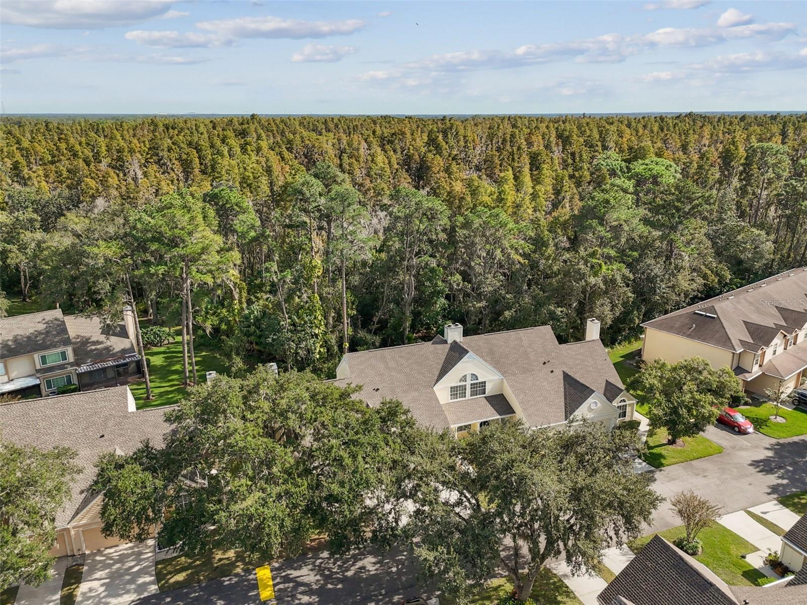3616 PINE KNOT DR #3616, VALRICO, FL — photo 55