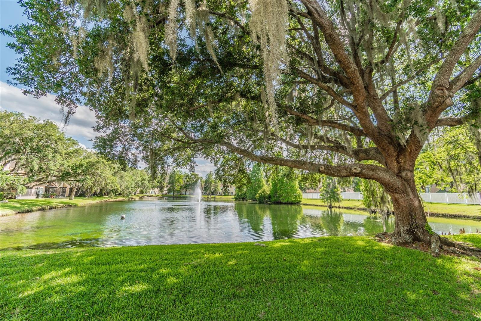 3616 PINE KNOT DR #3616, VALRICO, FL — photo 62