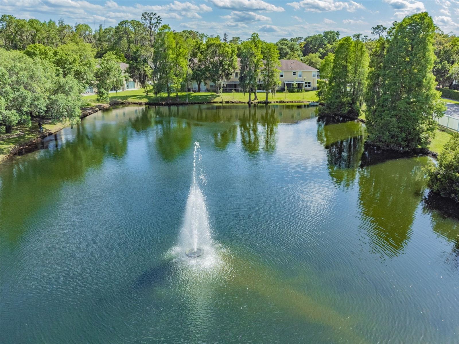 3616 PINE KNOT DR #3616, VALRICO, FL — photo 63