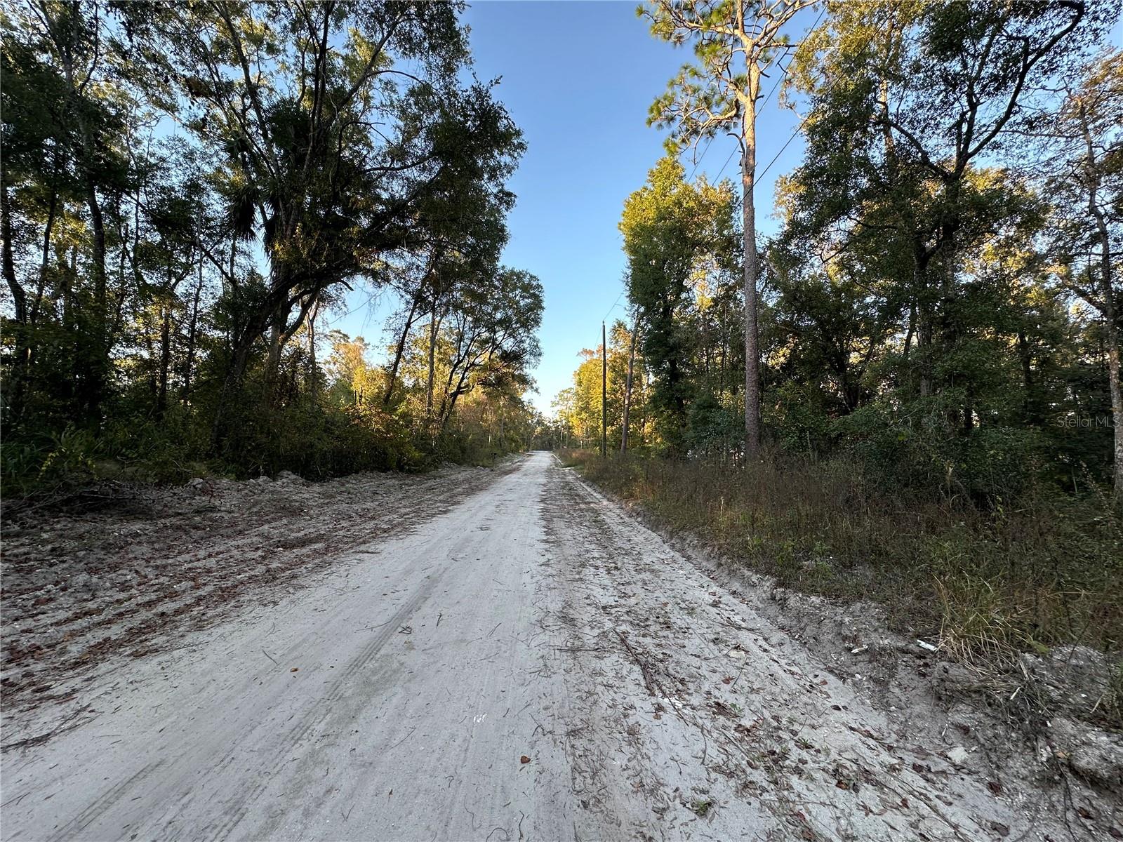 OOO SE 923RD ST, OLD TOWN, FL — photo 3