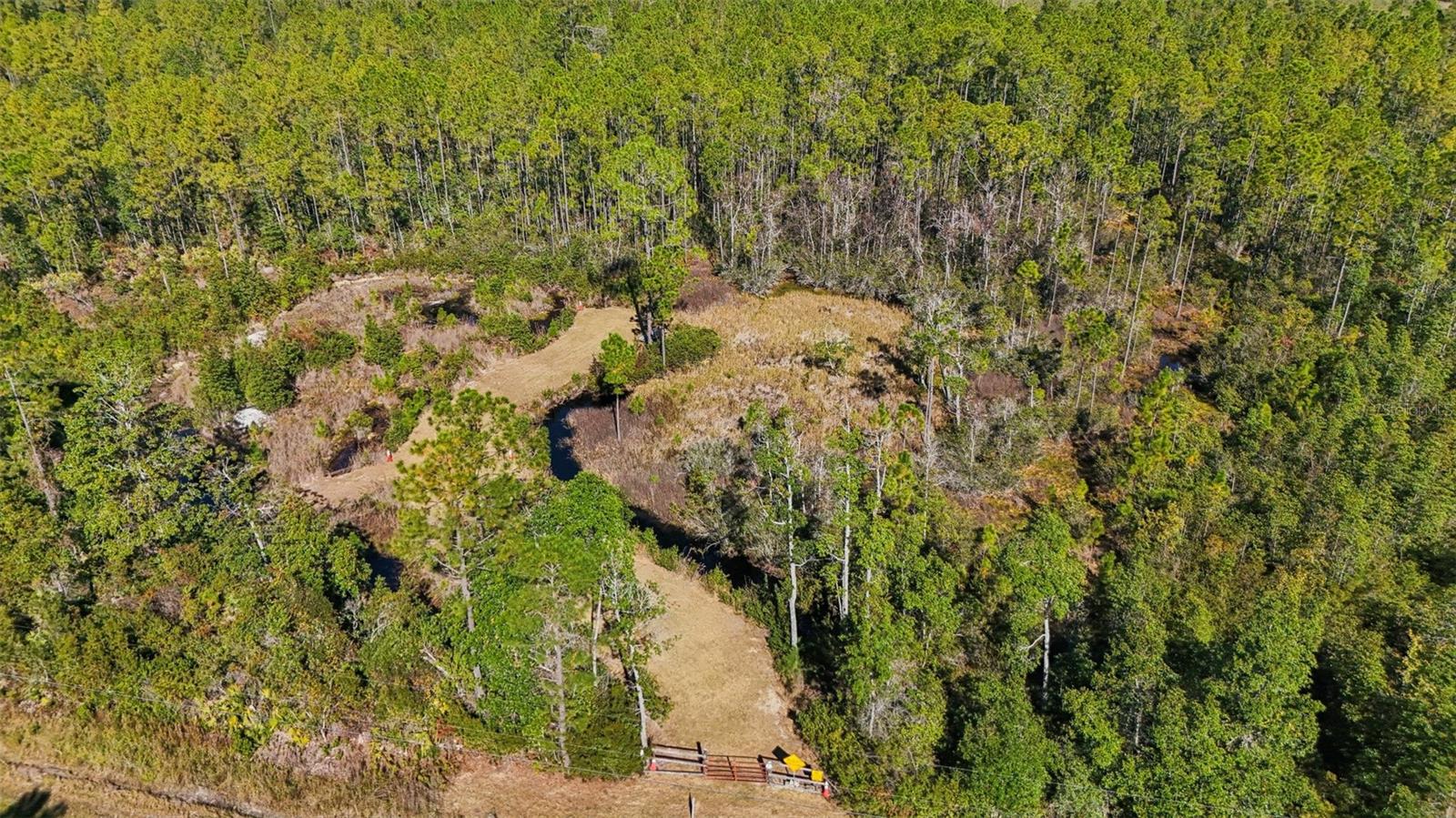 NE 212TH STREET RD, FORT MC COY, FL