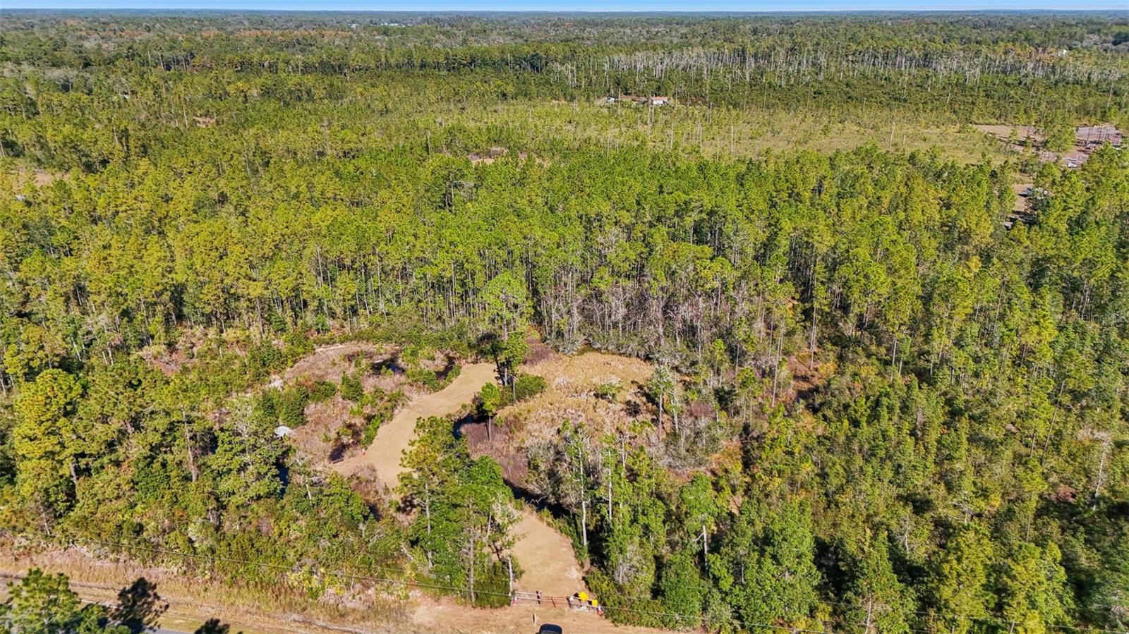 NE 212TH STREET RD, FORT MC COY, FL — photo 2