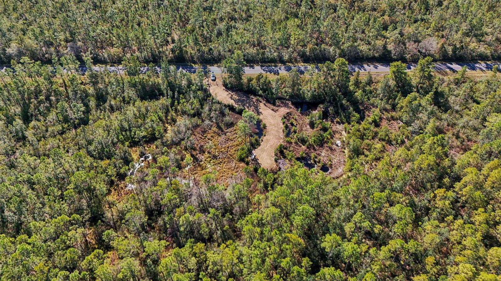 NE 212TH STREET RD, FORT MC COY, FL — photo 5