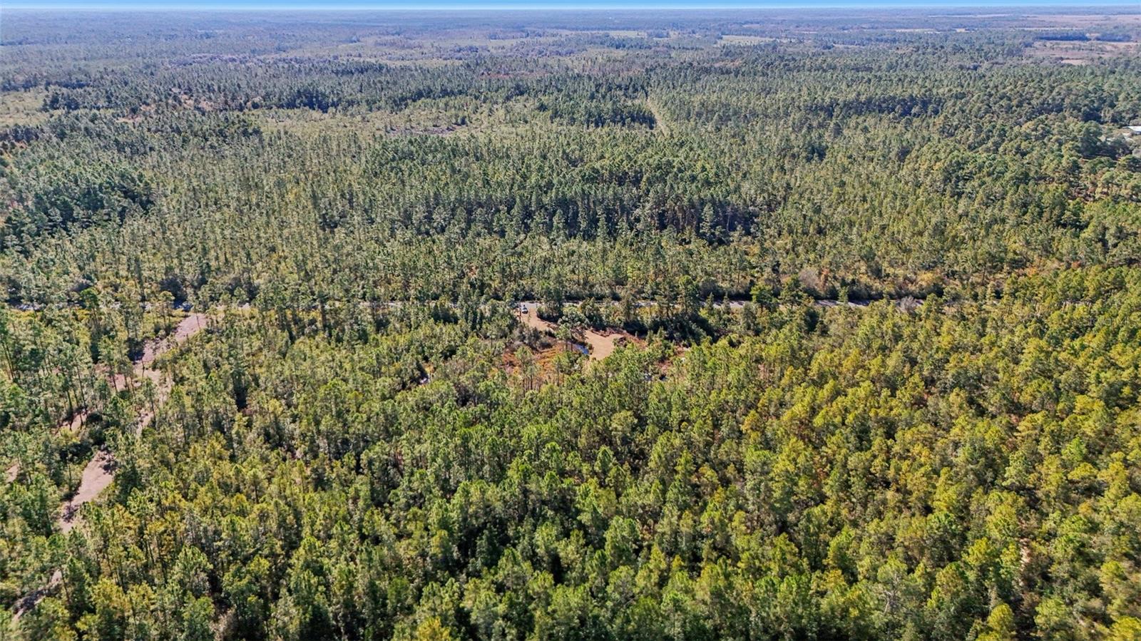 NE 212TH STREET RD, FORT MC COY, FL — photo 6