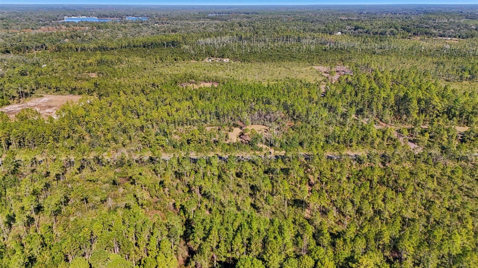 NE 212TH STREET RD, FORT MC COY, FL — photo 8