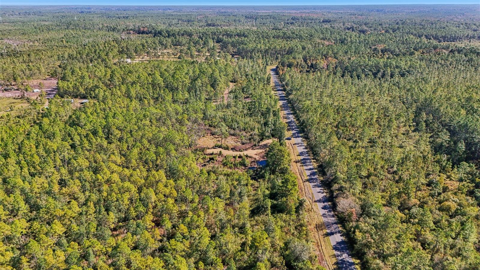NE 212TH STREET RD, FORT MC COY, FL — photo 9
