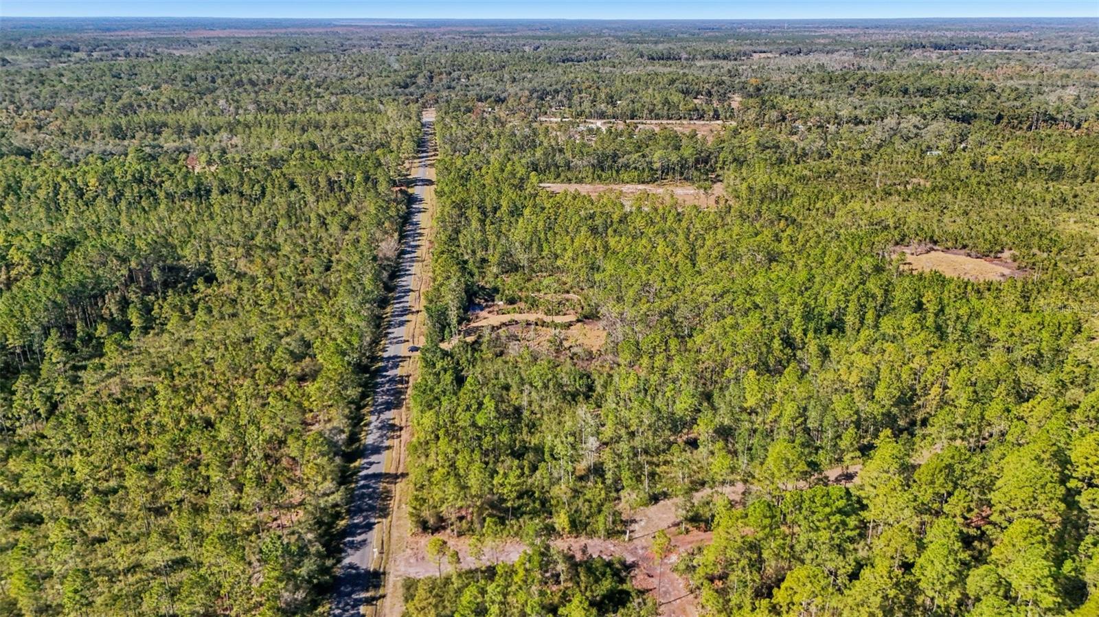 NE 212TH STREET RD, FORT MC COY, FL — photo 10
