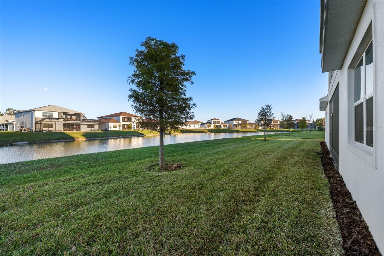 9185 SANDERS TREE LOOP, WESLEY CHAPEL, FL — photo 36