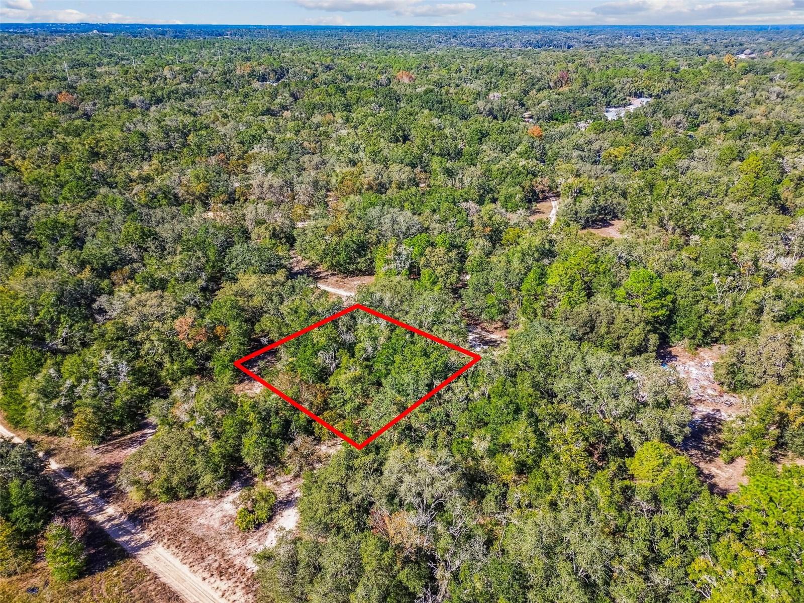 2903 TYLER ST, INVERNESS, FL — photo 2