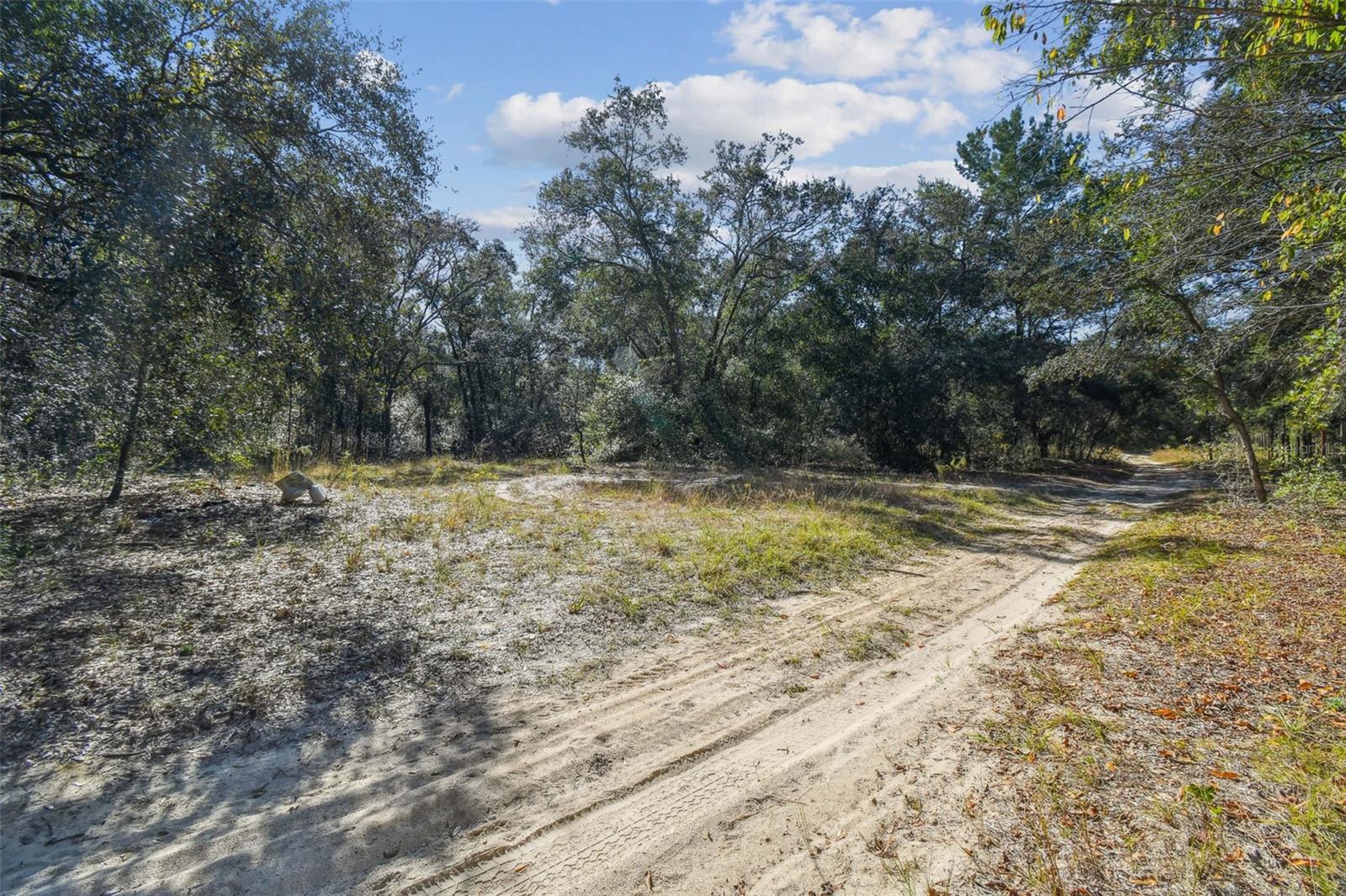 2903 TYLER ST, INVERNESS, FL — photo 3