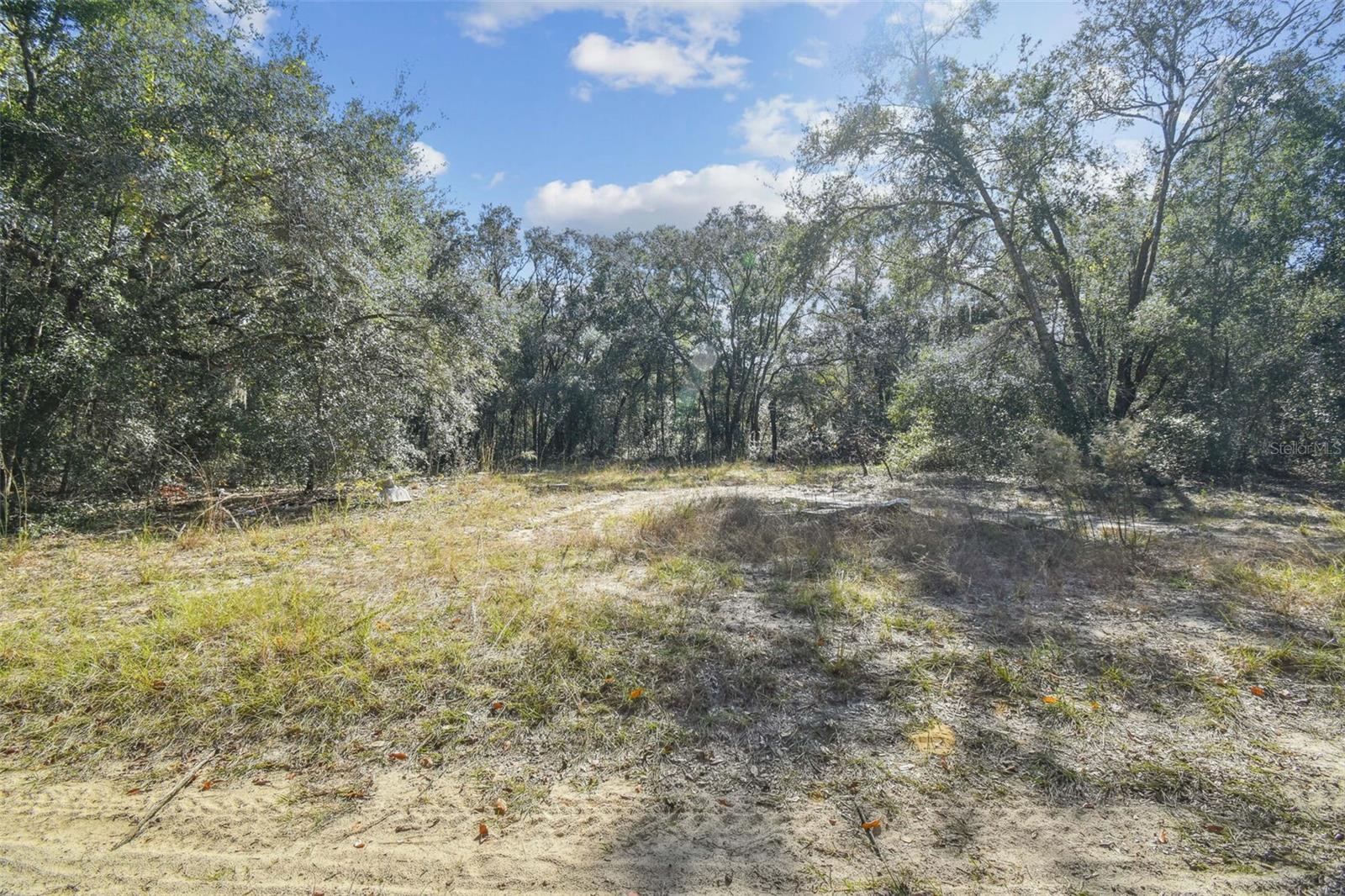 2903 TYLER ST, INVERNESS, FL — photo 4