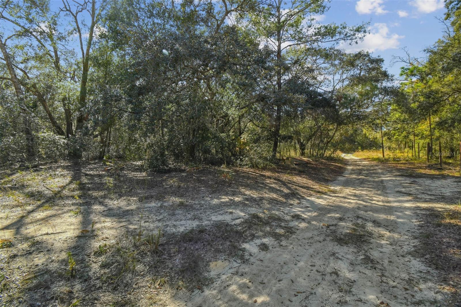 2903 TYLER ST, INVERNESS, FL — photo 5