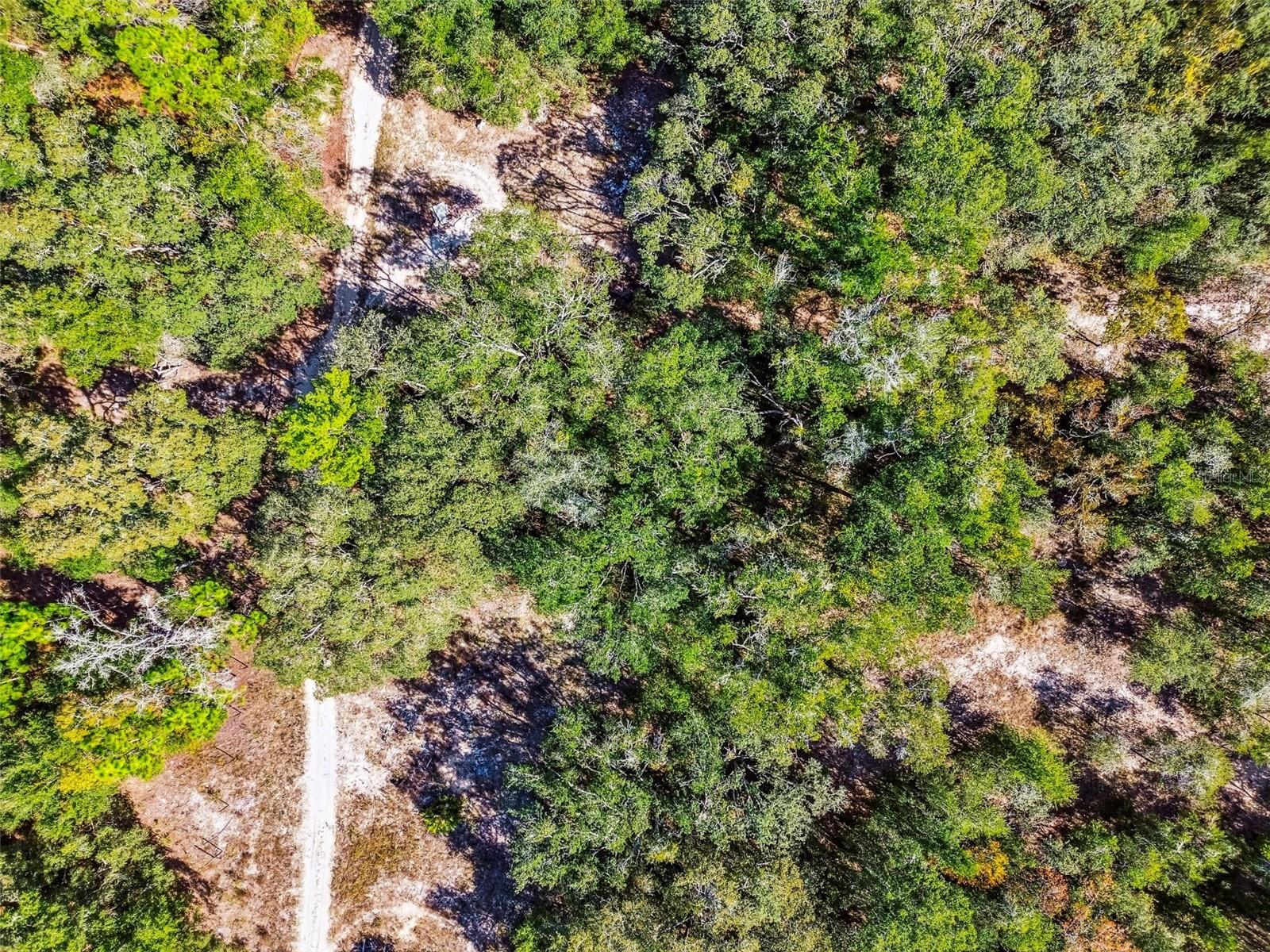 2903 TYLER ST, INVERNESS, FL — photo 8