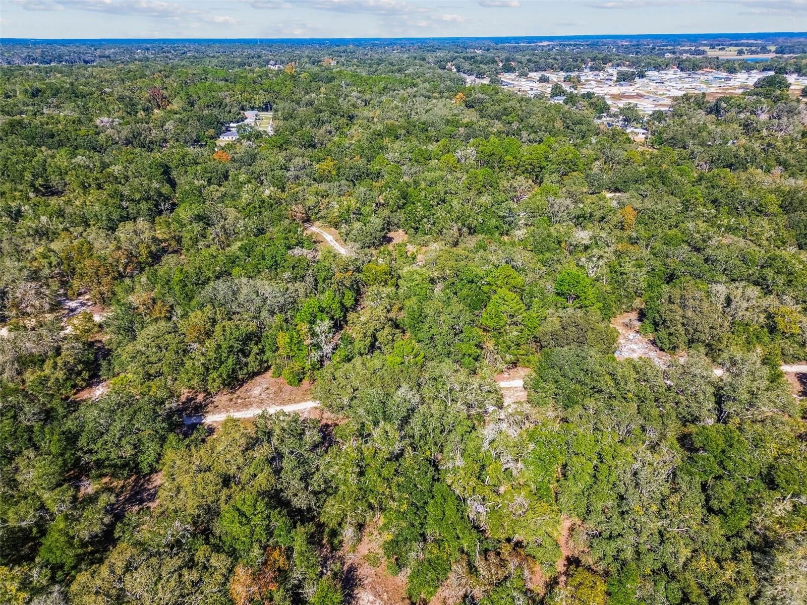 2903 TYLER ST, INVERNESS, FL — photo 9