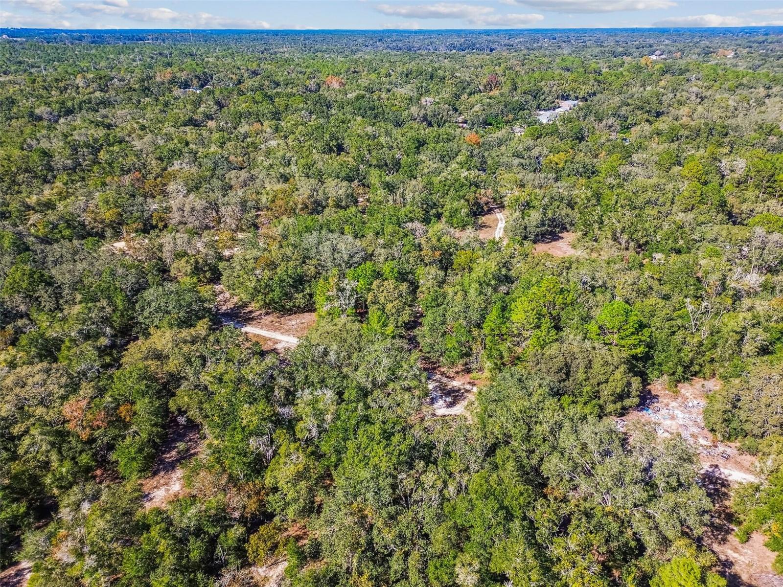2903 TYLER ST, INVERNESS, FL — photo 10