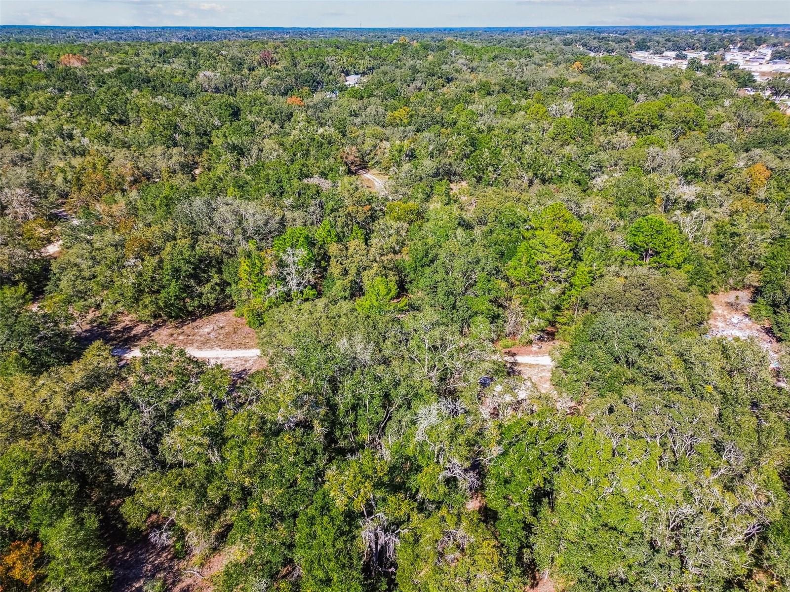 2903 TYLER ST, INVERNESS, FL — photo 11