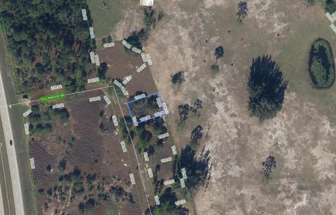 132 COLLINWOOD DR, LAKE PLACID, FL
