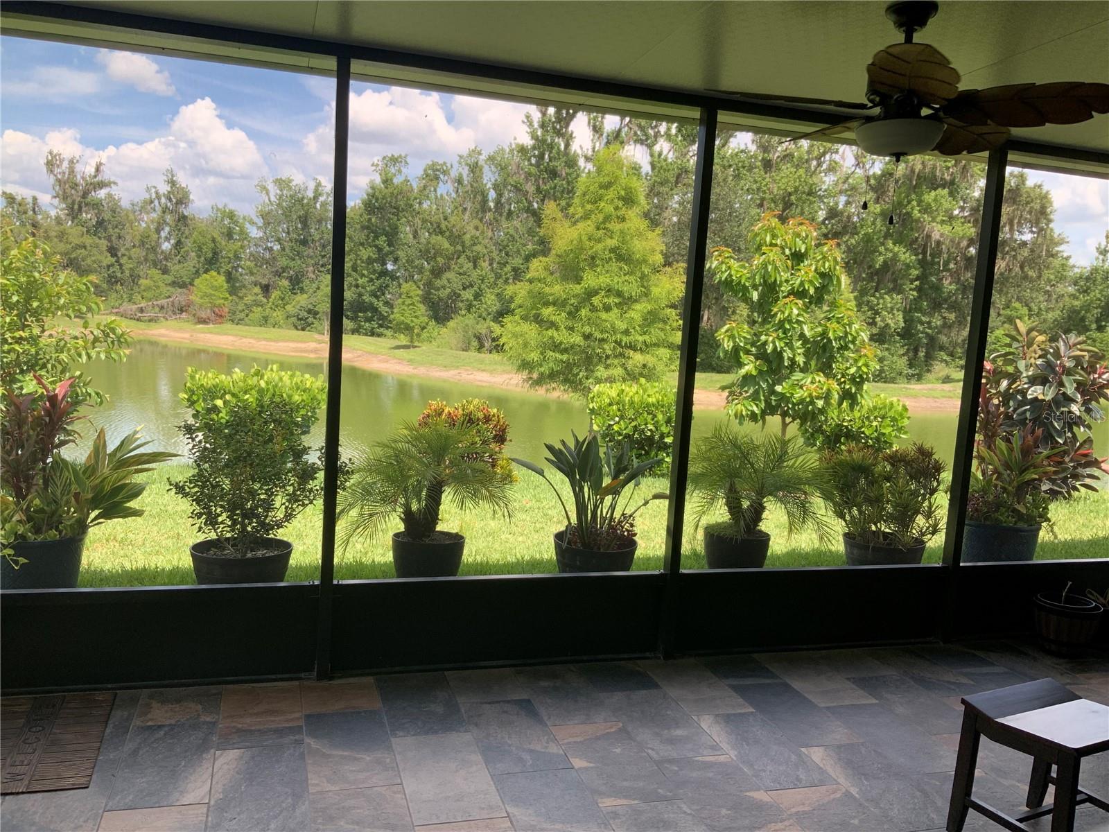 7128 STEER BLADE DR, ZEPHYRHILLS, FL — photo 15