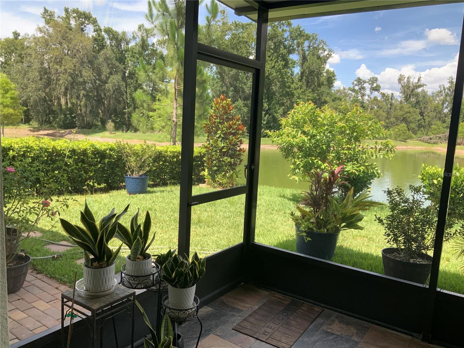 7128 STEER BLADE DR, ZEPHYRHILLS, FL — photo 21