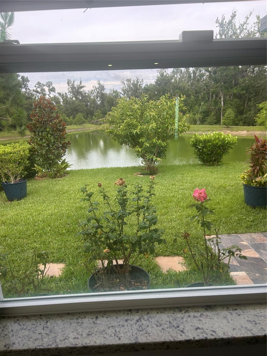 7128 STEER BLADE DR, ZEPHYRHILLS, FL — photo 17