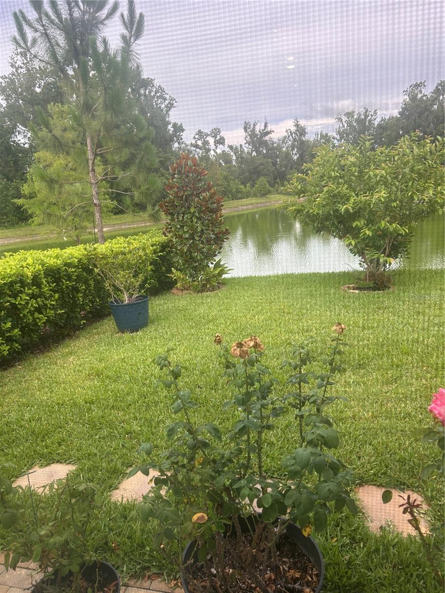 7128 STEER BLADE DR, ZEPHYRHILLS, FL — photo 19