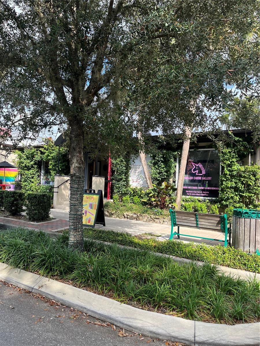 334 N DONNELLY ST, MOUNT DORA, FL — photo 11