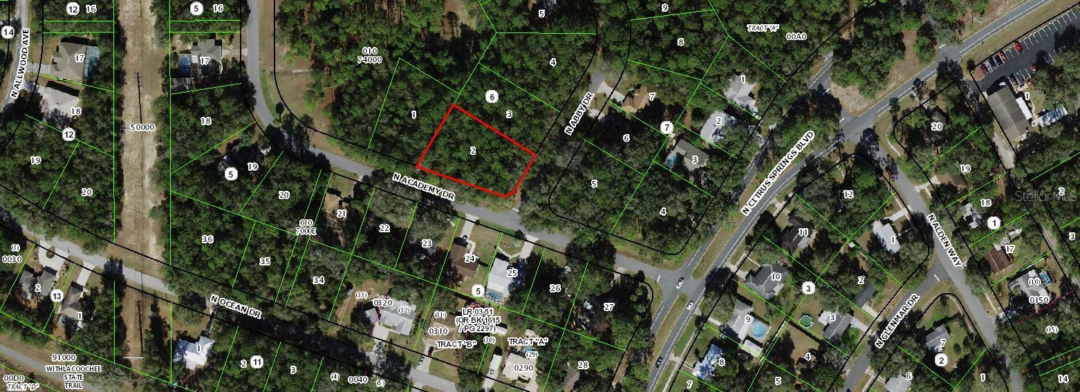 10141 N ACADEMY DR, CITRUS SPRINGS, FL