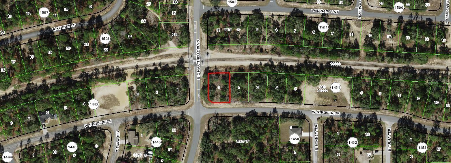 11241 N G MARTINELLI BLVD, CITRUS SPRINGS, FL