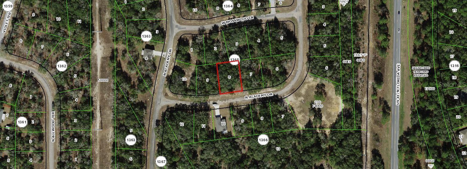 11163 N ACADEMY DR, CITRUS SPRINGS, FL
