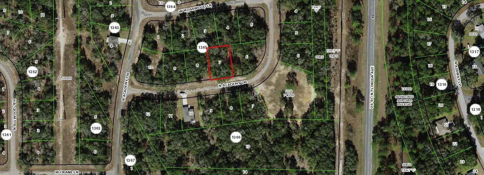 11151 N ACADEMY DR, CITRUS SPRINGS, FL