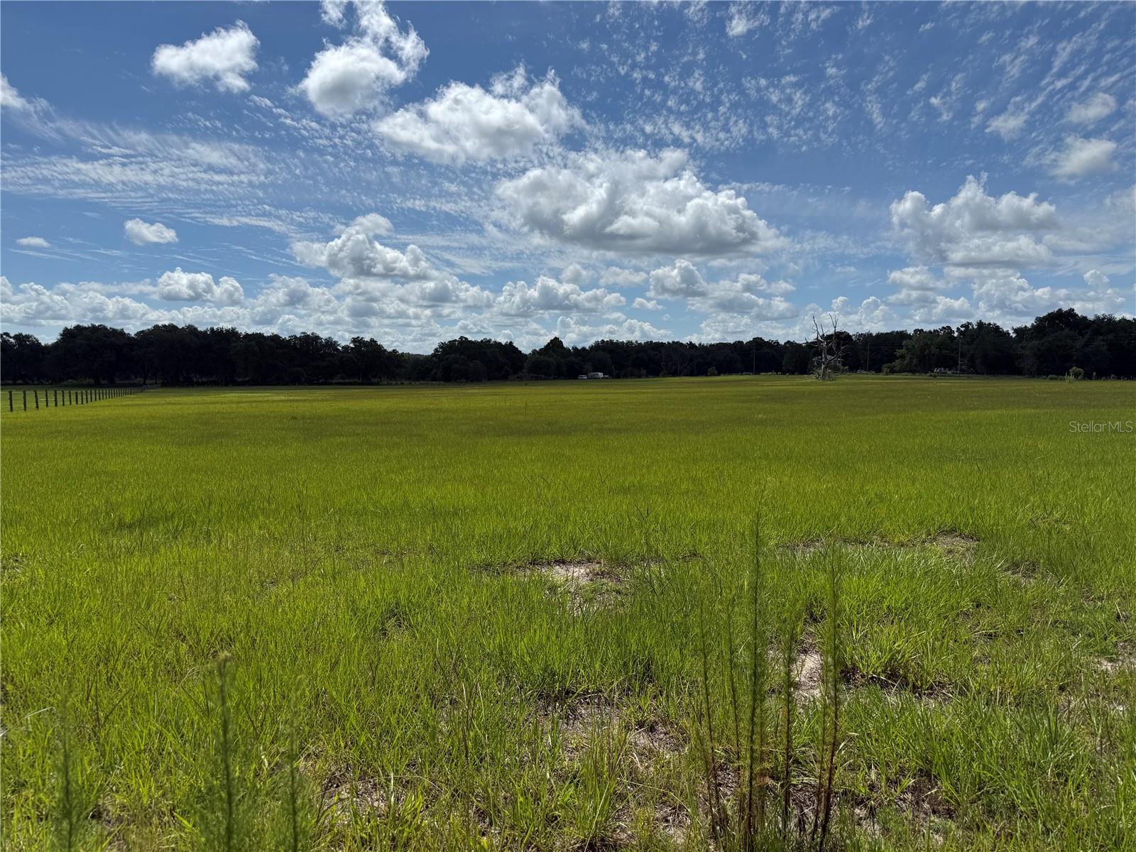 SW 60TH AVE, BUSHNELL, FL — photo 4