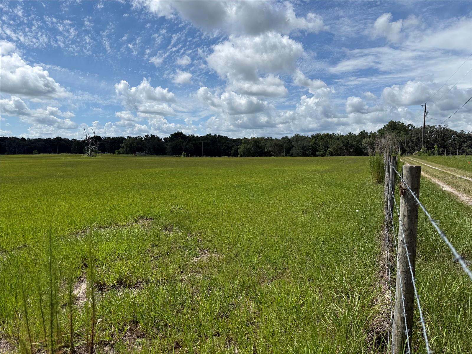 SW 60TH AVE, BUSHNELL, FL — photo 14