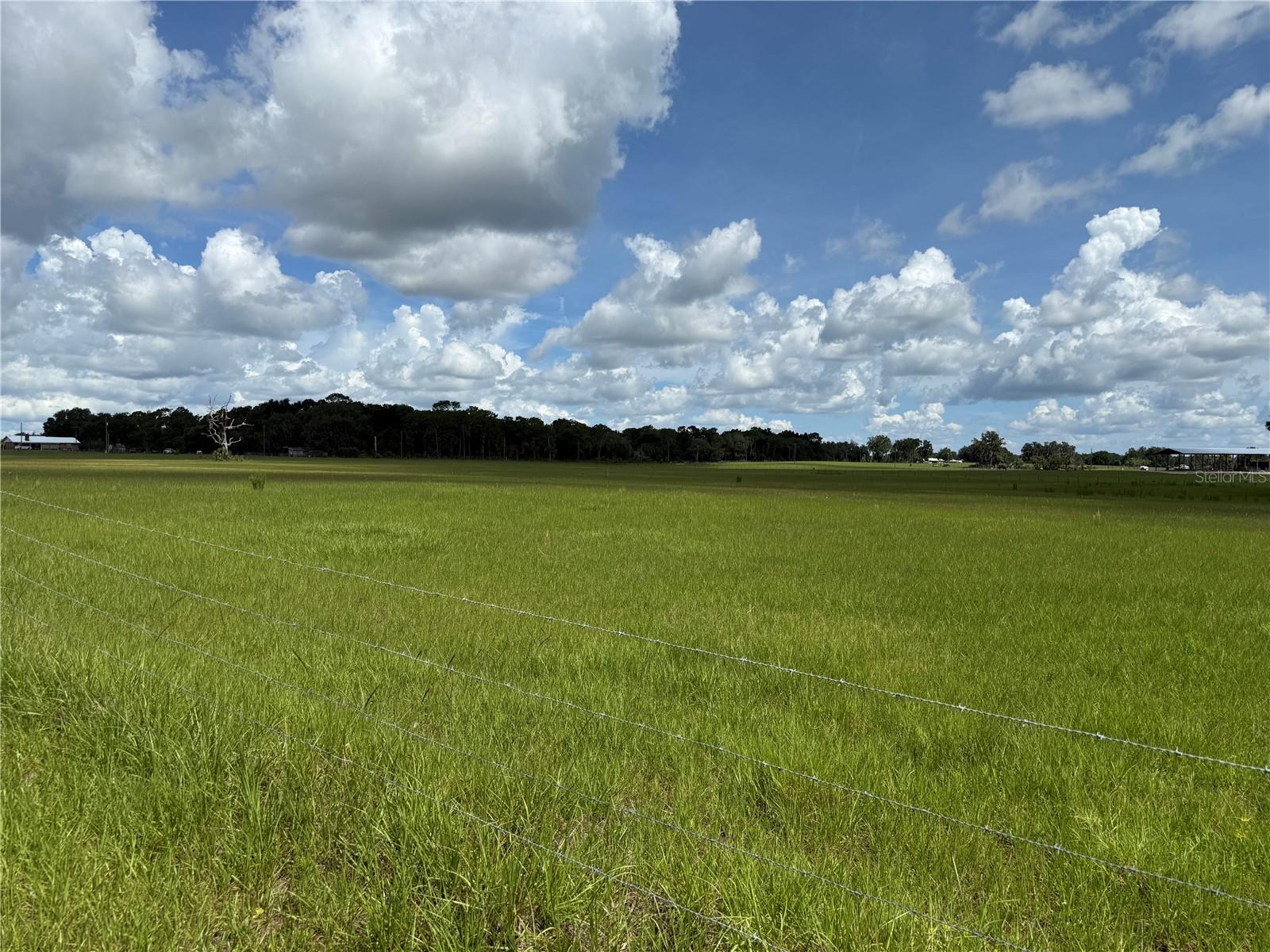 SW 60TH AVE, BUSHNELL, FL — photo 19