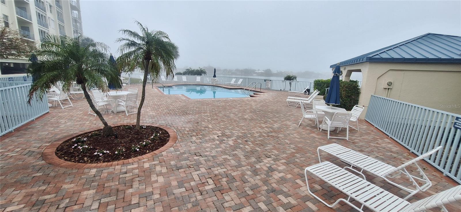 7907 SAILBOAT KEY BLVD S #205, SOUTH PASADENA, FL — photo 2