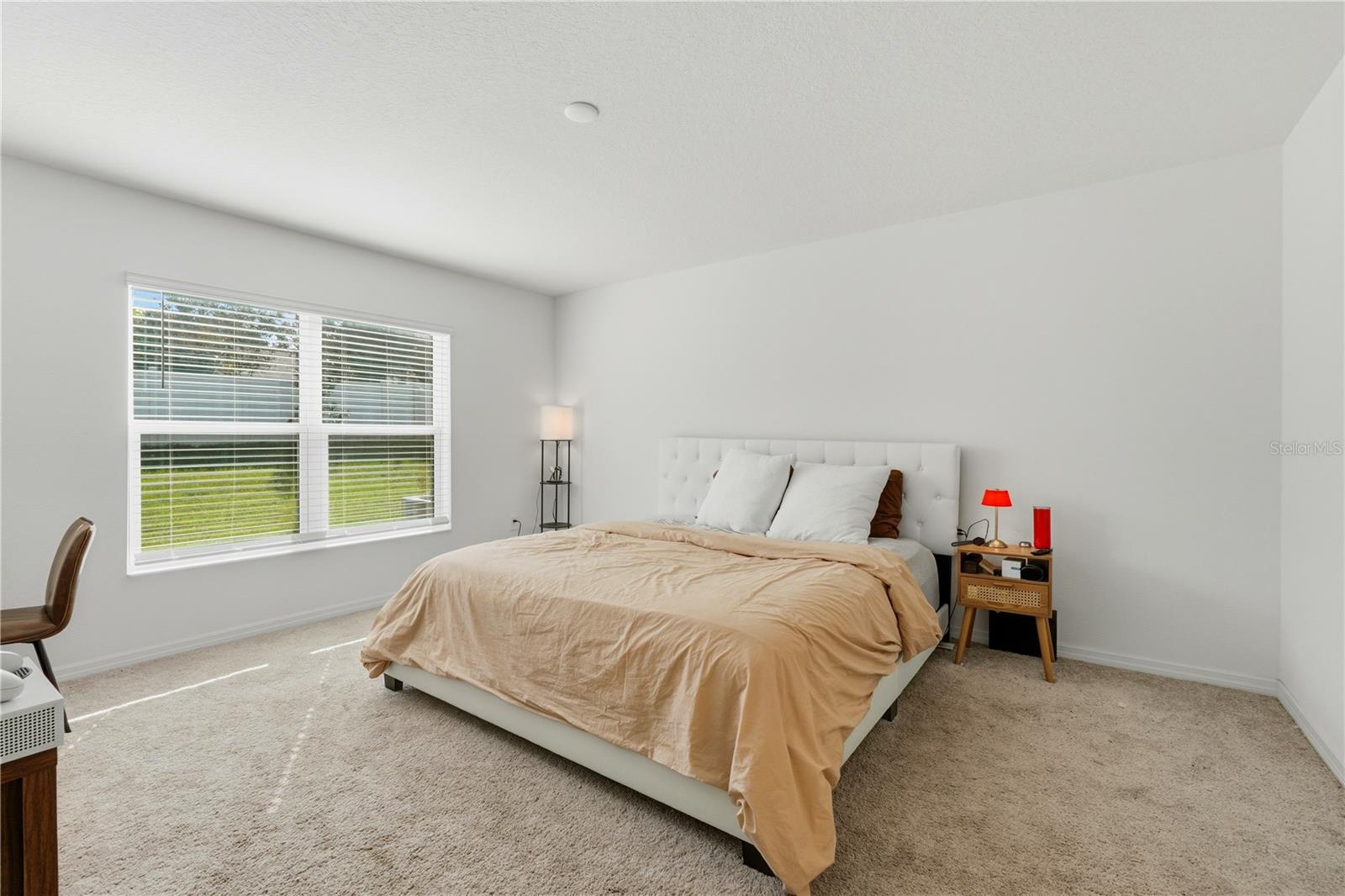 1459 GERANIUM DR, MASCOTTE, FL — photo 39