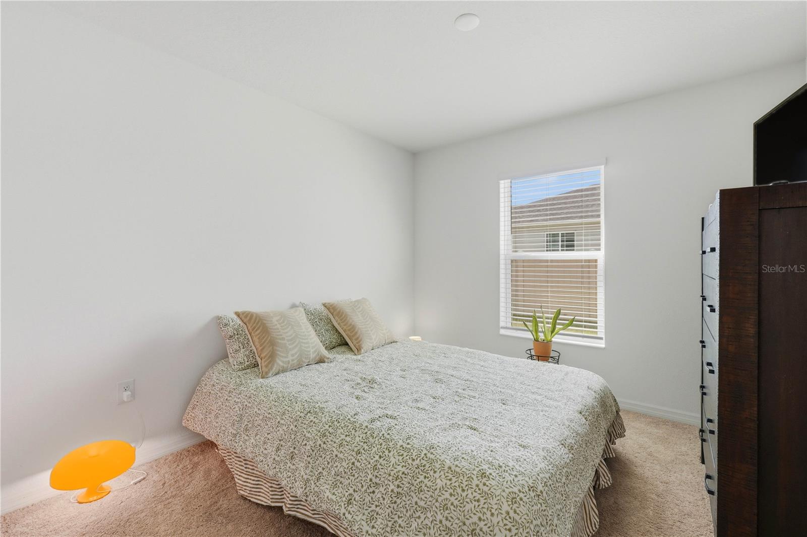 1459 GERANIUM DR, MASCOTTE, FL — photo 53