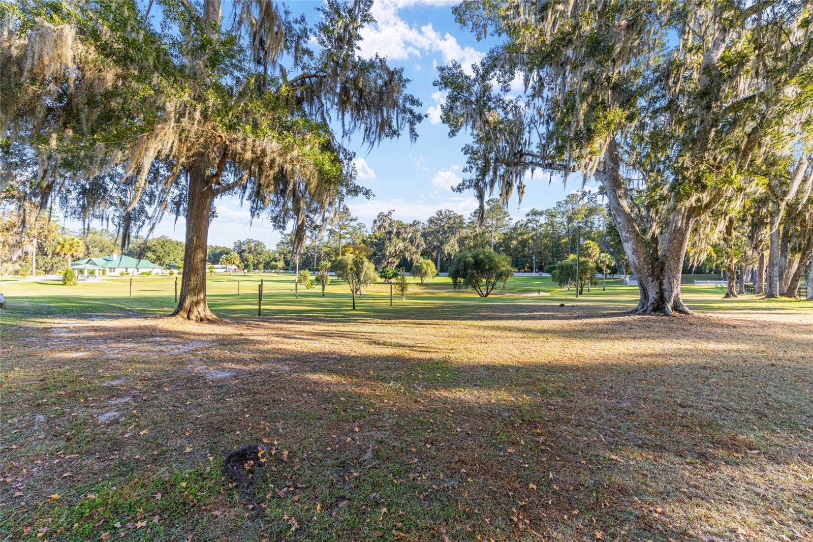 255 SW 96TH LN, OCALA, FL — photo 68