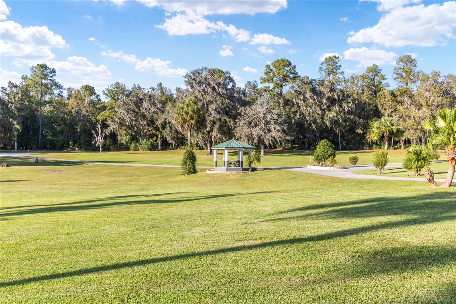255 SW 96TH LN, OCALA, FL — photo 71