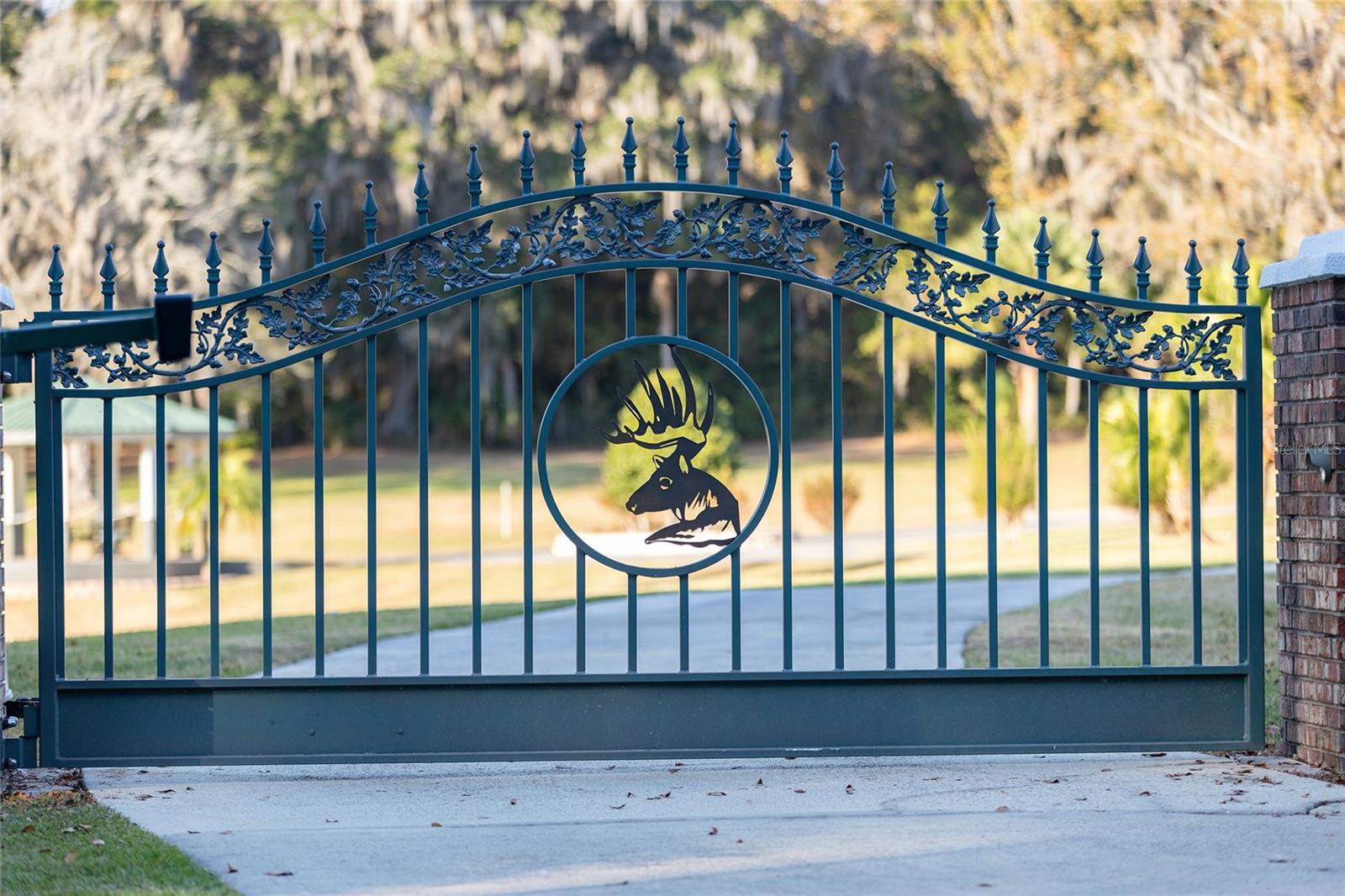255 SW 96TH LN, OCALA, FL — photo 5