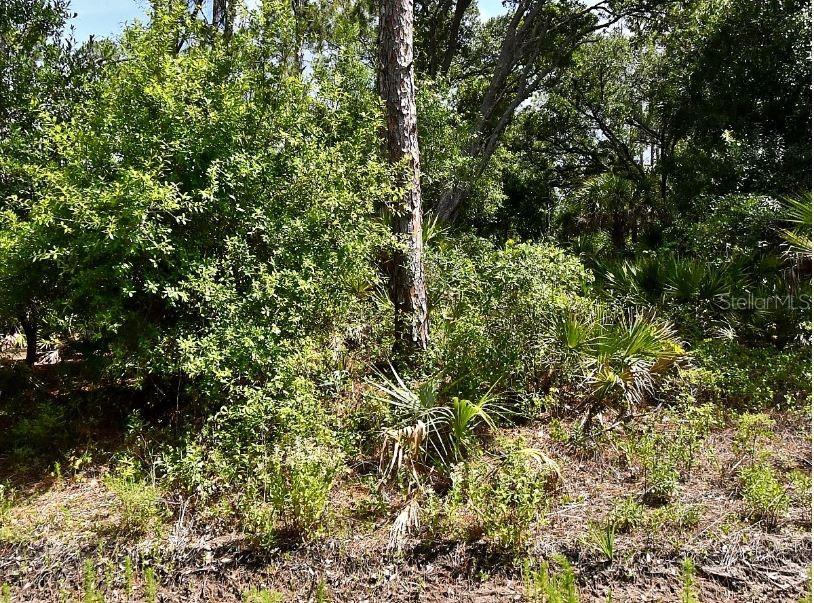 Lot 15 LOVERING AVE, NORTH PORT, FL — photo 5