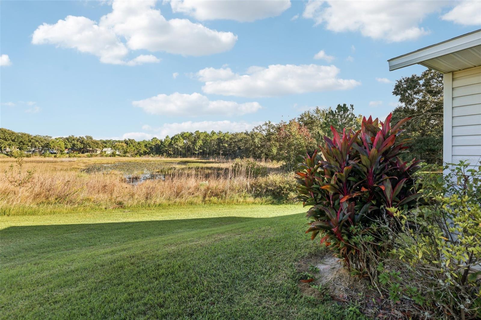 26209 NEWCOMBE CIR, LEESBURG, FL — photo 47