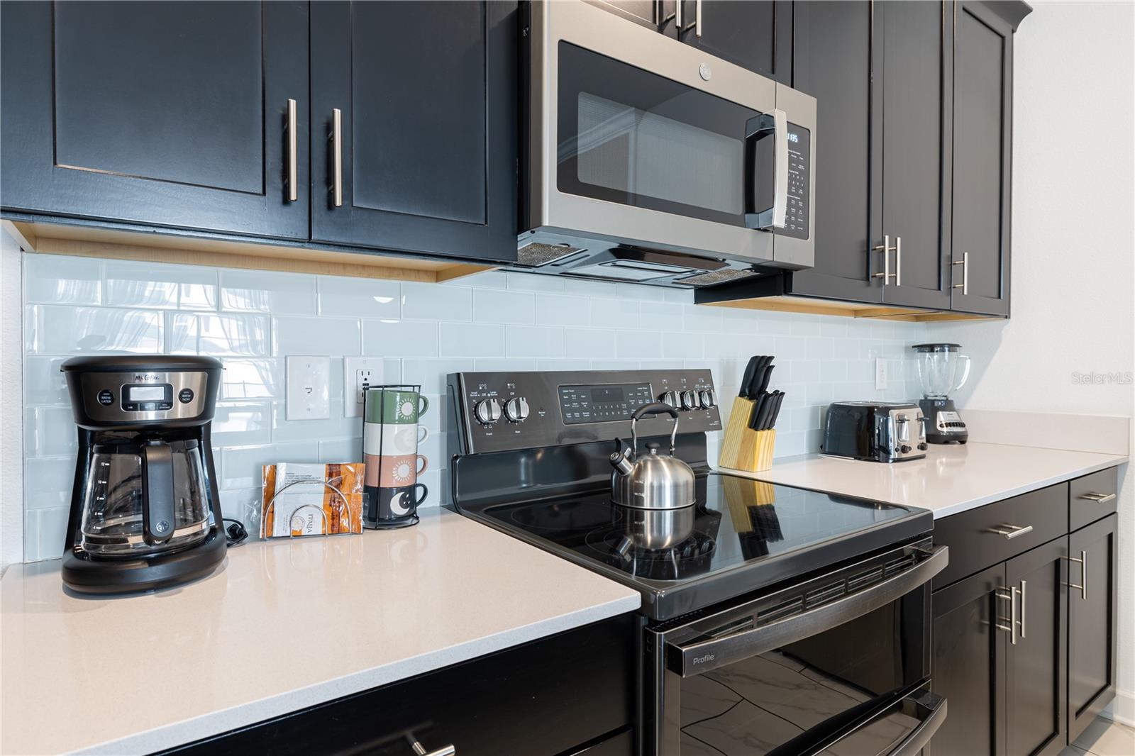 2970 PROTAGONIST ST, KISSIMMEE, FL — photo 12