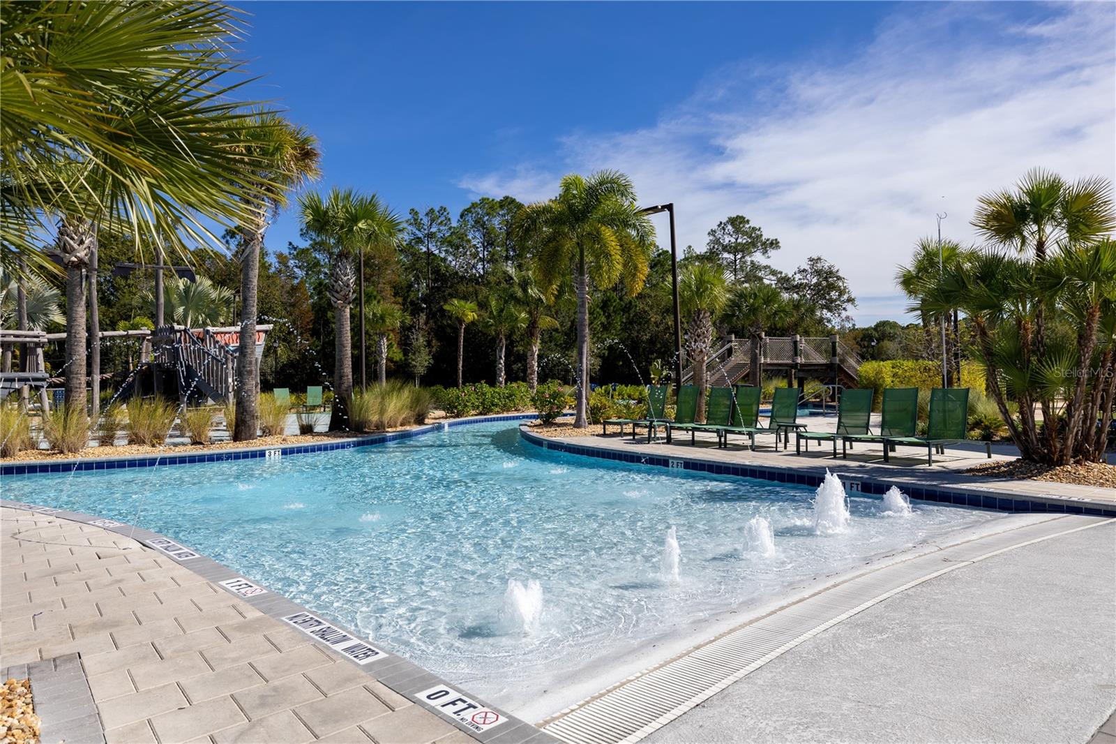 2970 PROTAGONIST ST, KISSIMMEE, FL — photo 41