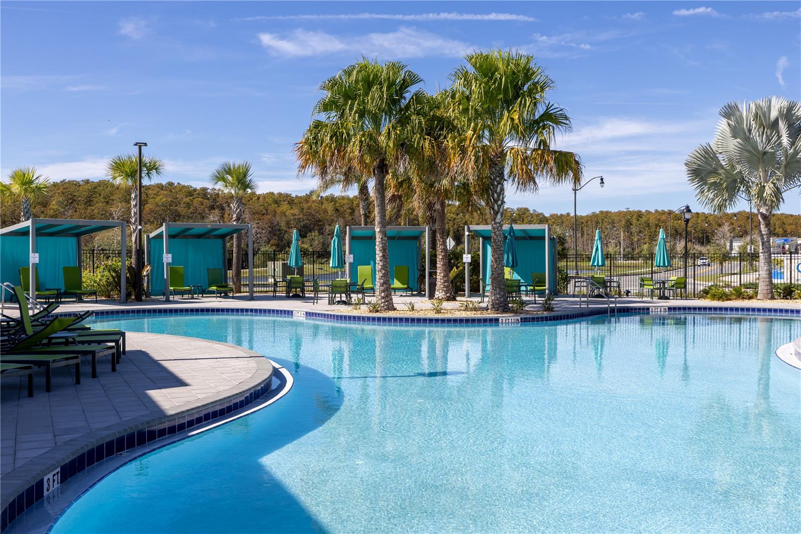 2970 PROTAGONIST ST, KISSIMMEE, FL — photo 49