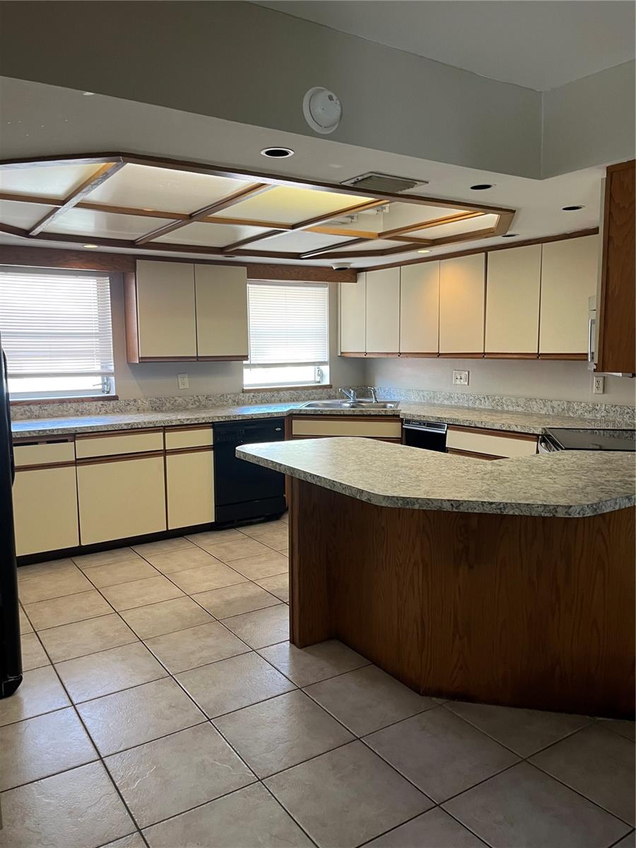 812 NORTHSIDE DR, MOUNT DORA, FL — photo 11