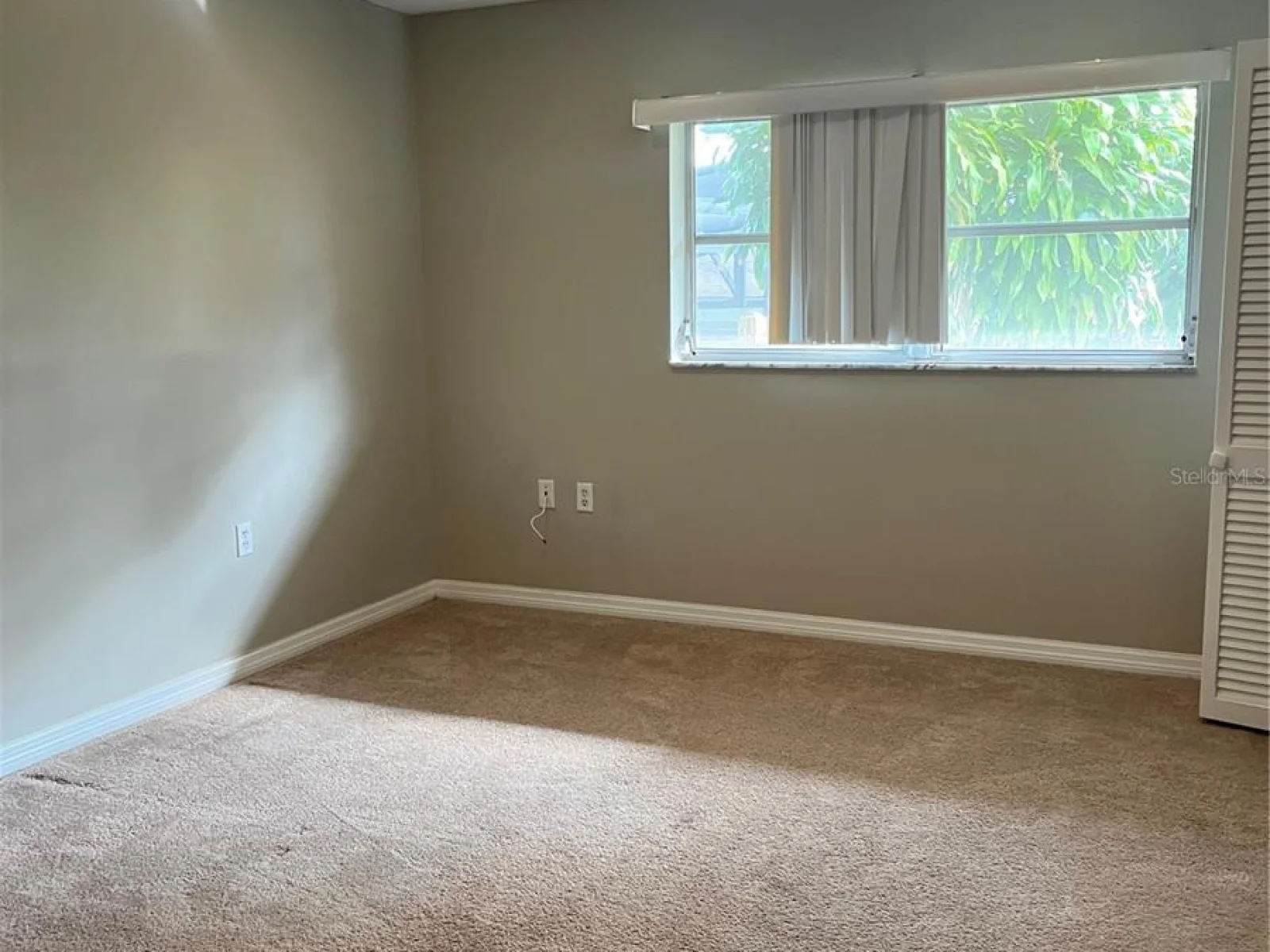 812 NORTHSIDE DR, MOUNT DORA, FL — photo 31