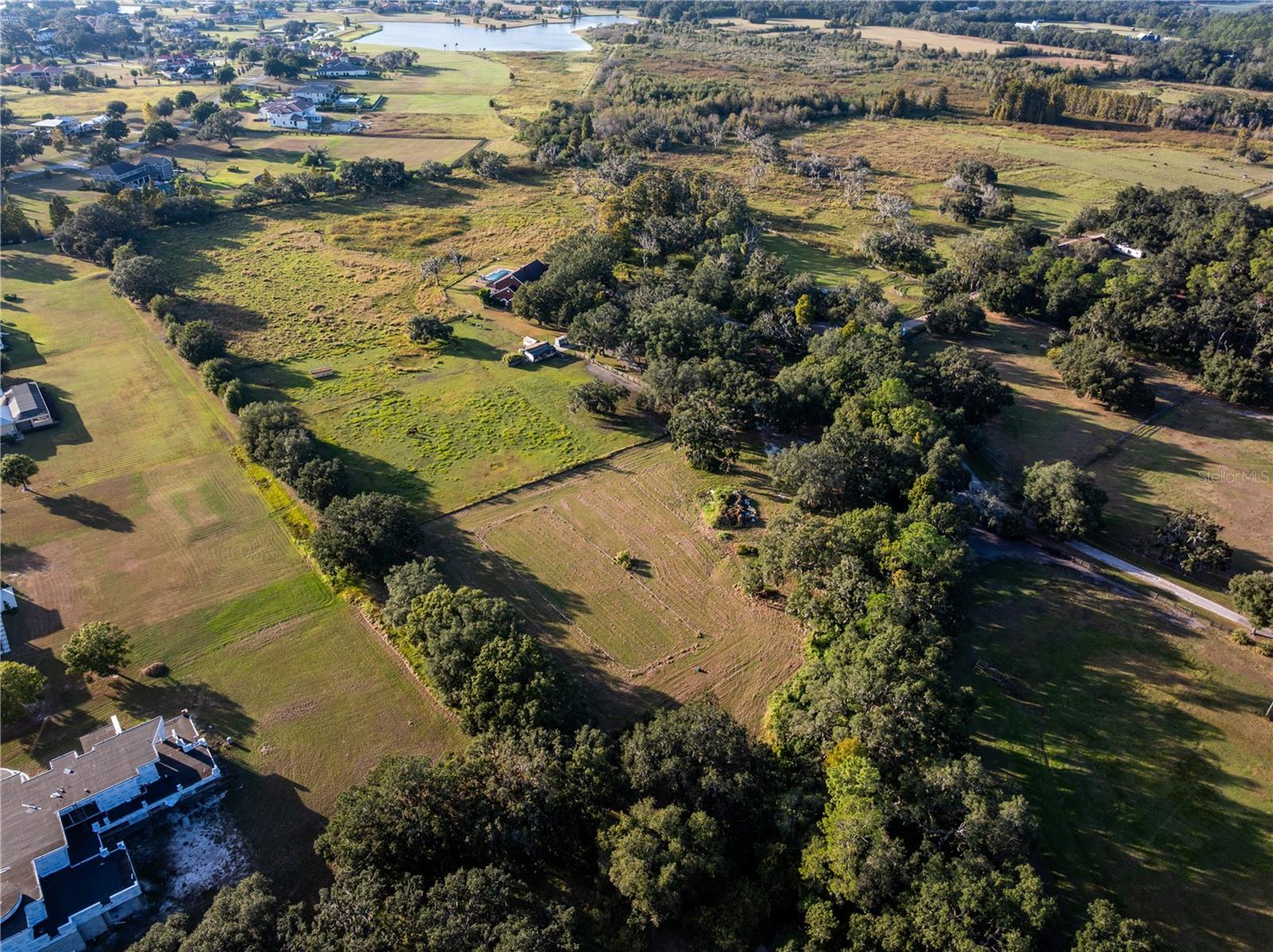 12537 TOMAR DR, THONOTOSASSA, FL — photo 6