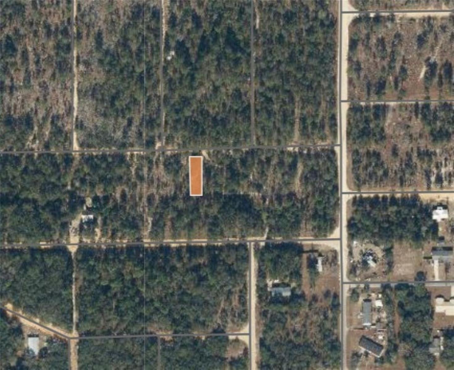 00 UNASSIGNED RD, INTERLACHEN, FL — photo 3